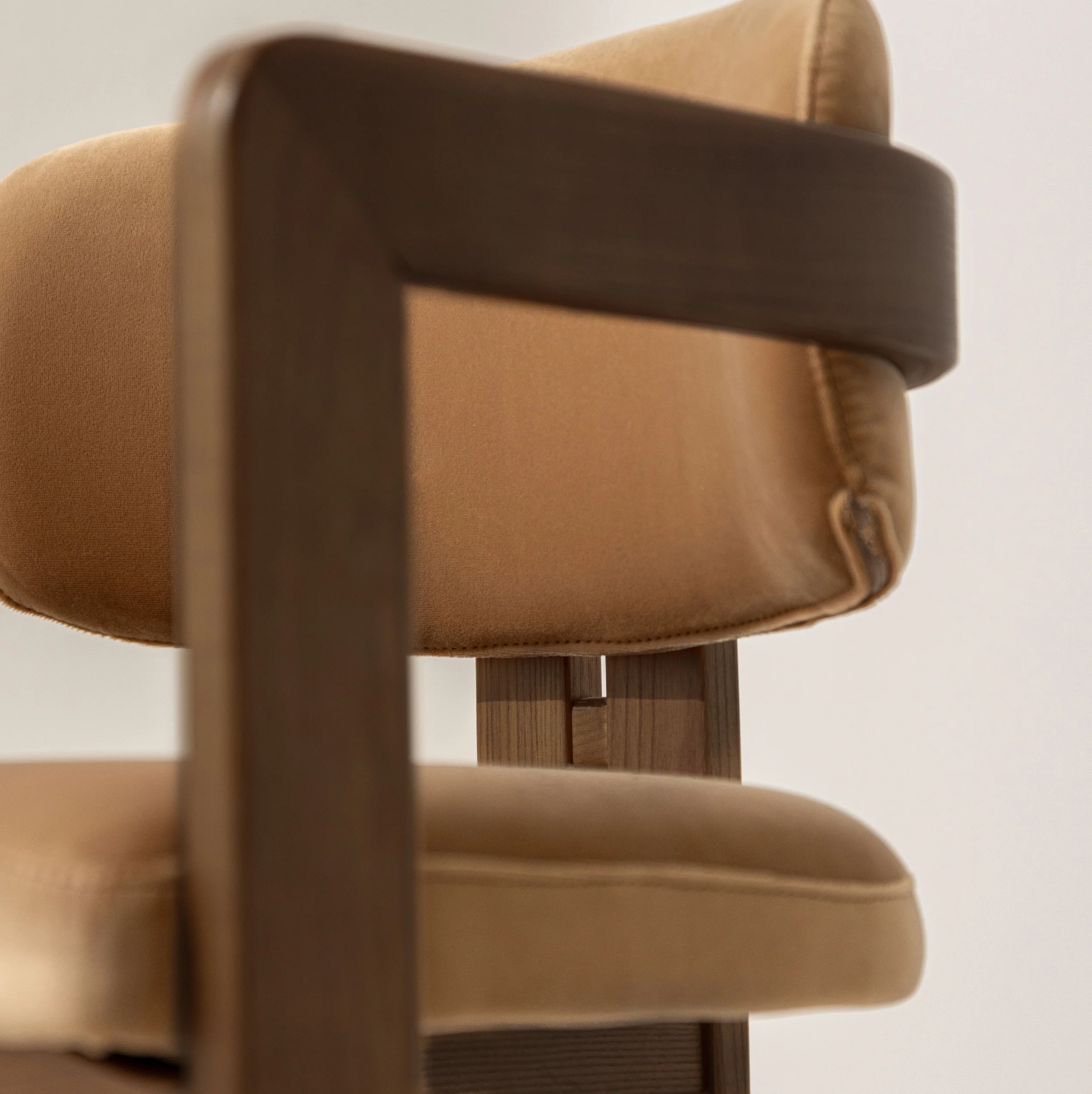 Curved Walnut Dining Chair - Camel Velvet - Image 10