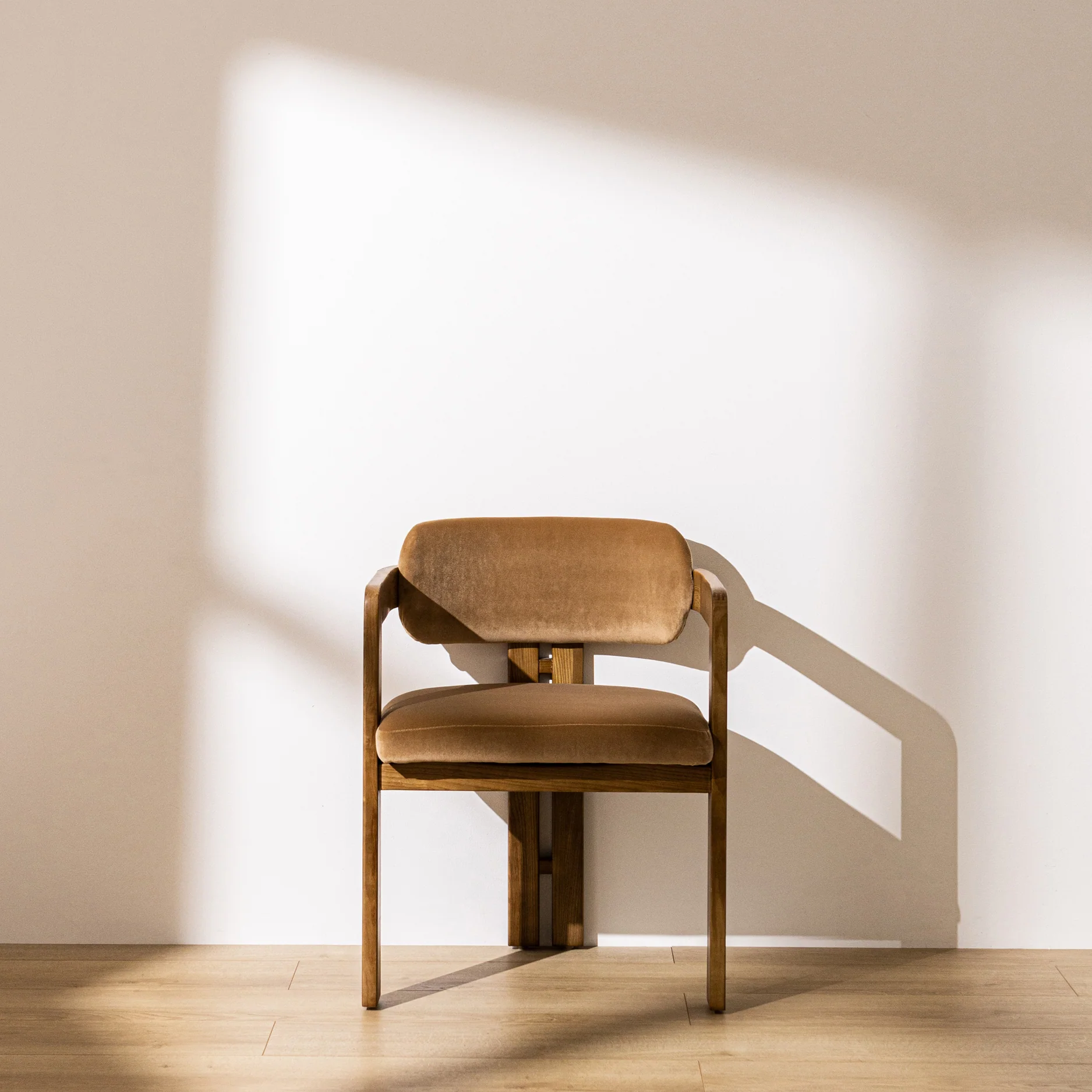 Curved Walnut Dining Chair - Camel Velvet - Image 11