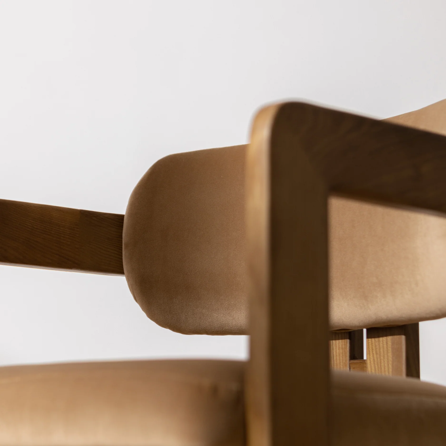 Curved Walnut Dining Chair - Camel Velvet - Image 12